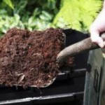 Compost